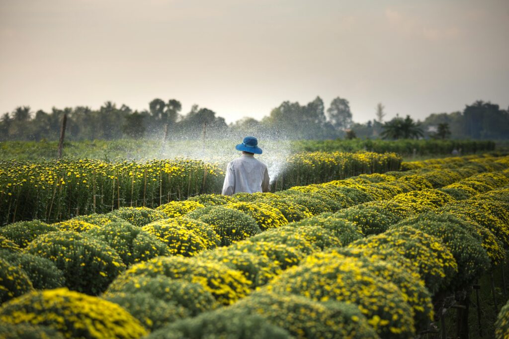 Agri Exports